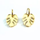 Monstera aro oro 1