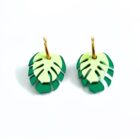 Monstera doble con aro verde 1