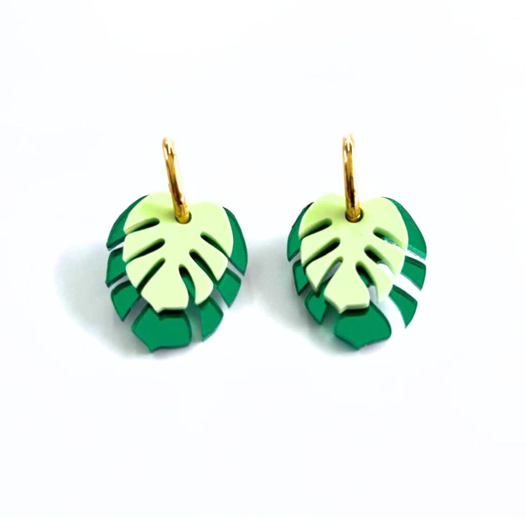 Monstera doble con aro verde 1