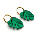 monstera aro verde 2
