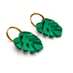 Monstera con aro verde